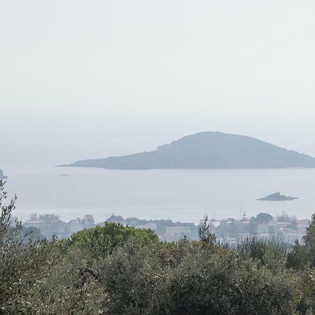 Armamento Villa Moni Evaggelistrias Exteriör bild